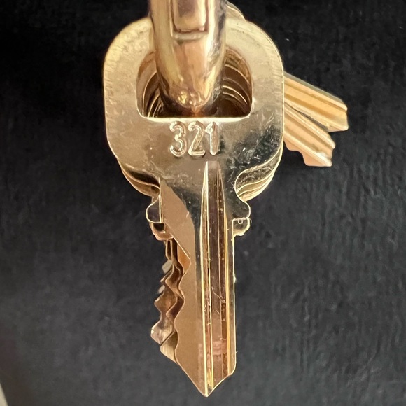 Louis Vuitton Replacement Key with a gold-tone chain (55 cm in length) - Picture 5 of 9